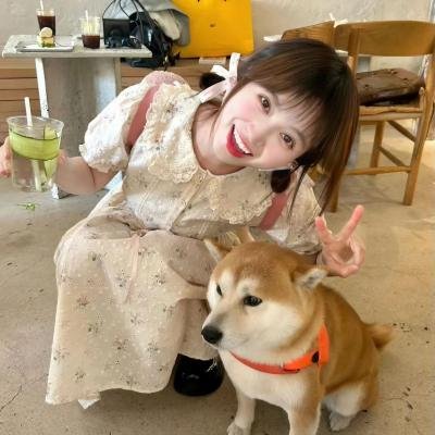玫瑰楼迷影